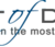 14617-art-of-design-ltd