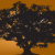 3720-comal-productions