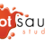 4783-hot-sauce-studios