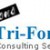 9973-tri-force-consultancy-services-pvt-ltd