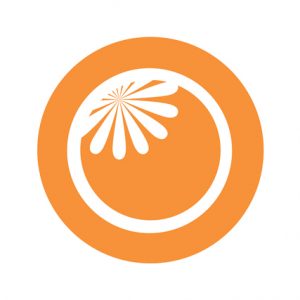 orangeyouglad,-llc-web-design-logo