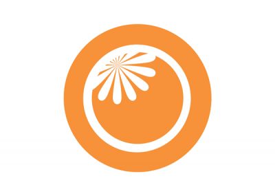 orangeyouglad,-llc-web-design-logo